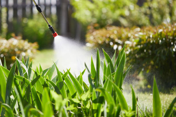 24/7 Emergency Pest Control experts in Arden-Arcade, CA